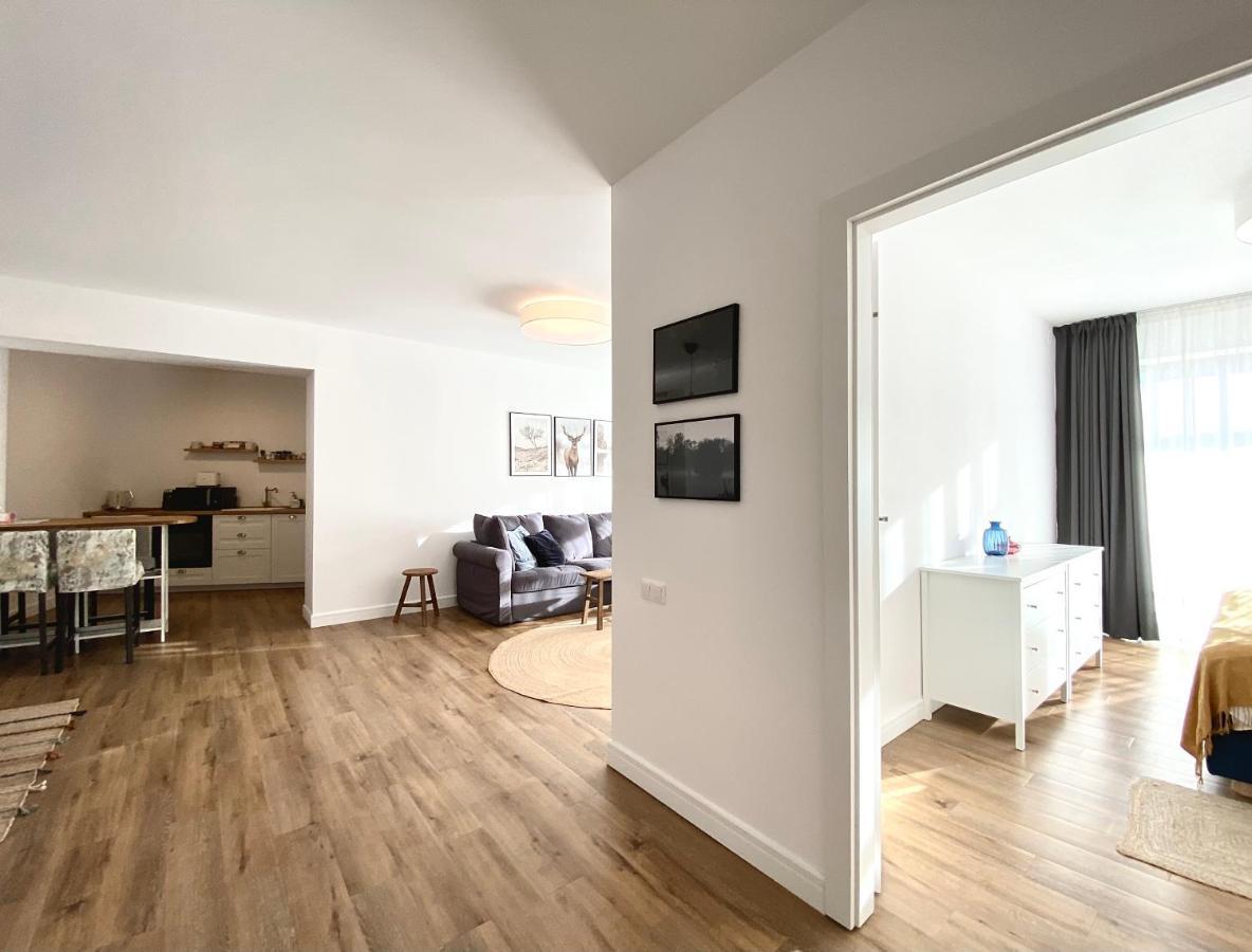 Cosy Hollow - Pet Friendly 브라쇼브 외부 사진