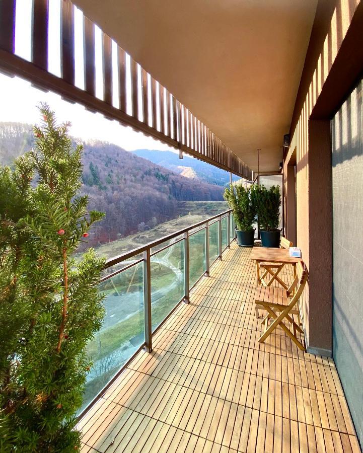 Cosy Hollow - Pet Friendly 브라쇼브 외부 사진